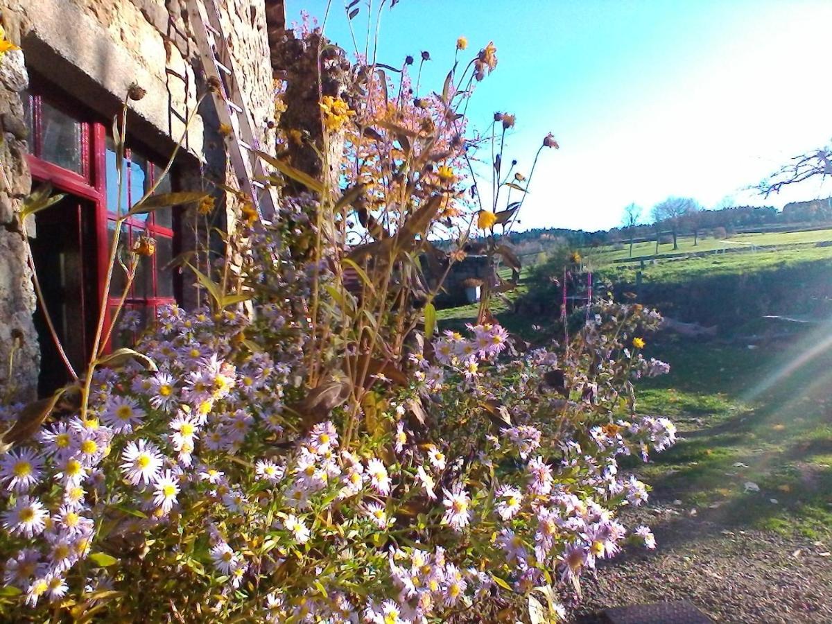 Bed and Breakfast Le Marconnès à Saint-Arcons-de-Barges Extérieur photo